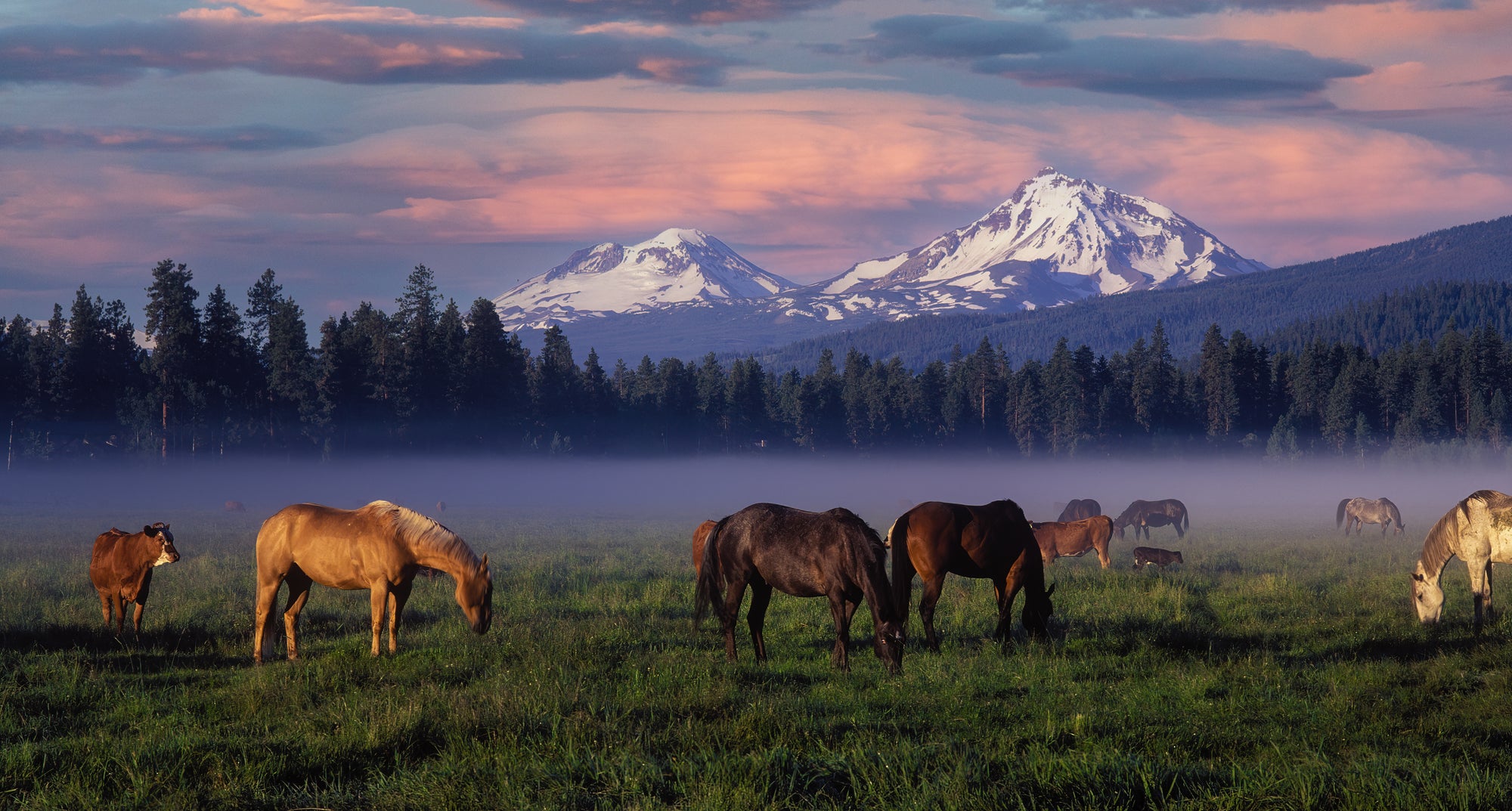 Oregon